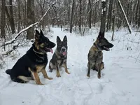 processed/28ee1580-f9a3-45c3-8548-6b6a1fc1a487/facility/e6d3b6c0-fca4-4201-819e-c7cf3aa8ae08