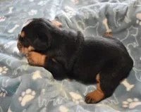 processed/28f3fc20-e8f6-4bd3-ab34-3724b1a5bec2/listing/15dc81a1-9694-4498-82c4-97830c692862/40f5ac79-fd1c-41d1-9d41-8e0196be8bbf