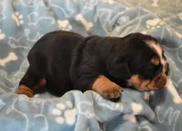 processed/28f3fc20-e8f6-4bd3-ab34-3724b1a5bec2/listing/15dc81a1-9694-4498-82c4-97830c692862/d1d37688-33f8-4739-9fe1-61b8afe6114d