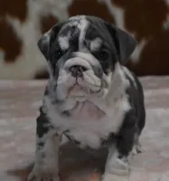 processed/28f3fc20-e8f6-4bd3-ab34-3724b1a5bec2/listing/327304a5-36b6-4a2b-ae35-c382f56207b1/757befc9-1706-486a-ab4f-93a861d84aa7