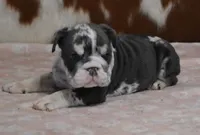 processed/28f3fc20-e8f6-4bd3-ab34-3724b1a5bec2/listing/327304a5-36b6-4a2b-ae35-c382f56207b1/9acee6a4-1e72-4f81-a282-8d6310c9bea6