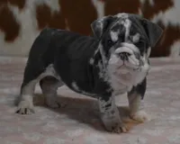 processed/28f3fc20-e8f6-4bd3-ab34-3724b1a5bec2/listing/327304a5-36b6-4a2b-ae35-c382f56207b1/e65255c4-87b5-4467-b75e-e8c959a40b4e