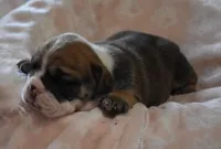 processed/28f3fc20-e8f6-4bd3-ab34-3724b1a5bec2/listing/4364ae51-7d41-4c9b-9d15-b452cc1347da/d3c93d8e-42d5-4c00-898c-4e66d88809aa