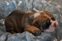 processed/28f3fc20-e8f6-4bd3-ab34-3724b1a5bec2/listing/4364ae51-7d41-4c9b-9d15-b452cc1347da/db23c17d-4e9a-4a03-ab57-32cf951548f8