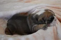 processed/28f3fc20-e8f6-4bd3-ab34-3724b1a5bec2/listing/4364ae51-7d41-4c9b-9d15-b452cc1347da/ee7043ba-9c6b-42f5-8d0a-62a94d58b734