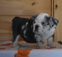 processed/28f3fc20-e8f6-4bd3-ab34-3724b1a5bec2/listing/47005be1-4a0a-4d98-97df-b5c3089568bf/1fe162bf-9692-4b04-8a7f-9ab012e71e96