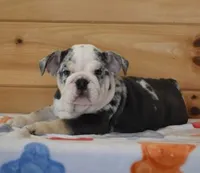 processed/28f3fc20-e8f6-4bd3-ab34-3724b1a5bec2/listing/47005be1-4a0a-4d98-97df-b5c3089568bf/9ee45aad-a532-40e6-a9a5-1dd2ae334cc0