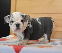 processed/28f3fc20-e8f6-4bd3-ab34-3724b1a5bec2/listing/47005be1-4a0a-4d98-97df-b5c3089568bf/b0c45f4e-4a7f-4be8-8cc8-7d4c04ee7387