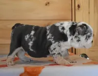 processed/28f3fc20-e8f6-4bd3-ab34-3724b1a5bec2/listing/47005be1-4a0a-4d98-97df-b5c3089568bf/e7571446-3d04-4808-b374-ba223b53a1f0