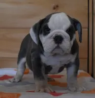 processed/28f3fc20-e8f6-4bd3-ab34-3724b1a5bec2/listing/640bcb4c-07eb-4419-b34a-de00b17b2806/44b83aa5-6b4e-4714-b715-4e5295387183