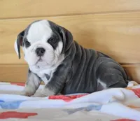 processed/28f3fc20-e8f6-4bd3-ab34-3724b1a5bec2/listing/640bcb4c-07eb-4419-b34a-de00b17b2806/a3a752e8-0341-4276-a63d-303ad5fc3037