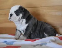 processed/28f3fc20-e8f6-4bd3-ab34-3724b1a5bec2/listing/640bcb4c-07eb-4419-b34a-de00b17b2806/e1a369cd-e501-4359-8876-bcf6133c3901