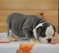 processed/28f3fc20-e8f6-4bd3-ab34-3724b1a5bec2/listing/640bcb4c-07eb-4419-b34a-de00b17b2806/ed4c9acf-5927-4161-9f8e-dc8b7bcbb2d7