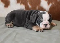 processed/28f3fc20-e8f6-4bd3-ab34-3724b1a5bec2/listing/648214d6-b9e9-4f5f-b081-819b11ca2c34/5d9871df-f90e-4501-9b85-0b256a2904fd