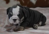 processed/28f3fc20-e8f6-4bd3-ab34-3724b1a5bec2/listing/648214d6-b9e9-4f5f-b081-819b11ca2c34/6ed50dca-63d7-44da-ae7b-82a531fc1db0