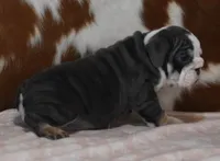 processed/28f3fc20-e8f6-4bd3-ab34-3724b1a5bec2/listing/648214d6-b9e9-4f5f-b081-819b11ca2c34/e7c962f6-9b0c-4547-a9f6-c46c76939045