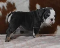 processed/28f3fc20-e8f6-4bd3-ab34-3724b1a5bec2/listing/648214d6-b9e9-4f5f-b081-819b11ca2c34/efde43d7-938d-4909-a261-dcceb00e22c2