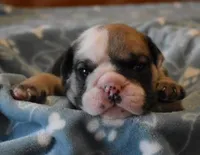 processed/28f3fc20-e8f6-4bd3-ab34-3724b1a5bec2/listing/a43df96b-9db8-481b-bb2c-334e033f1ceb/492cb468-0c1c-4058-a133-99458c74965e