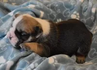 processed/28f3fc20-e8f6-4bd3-ab34-3724b1a5bec2/listing/a43df96b-9db8-481b-bb2c-334e033f1ceb/b5021b39-29bd-4af9-a6eb-cd21fa8e9df2