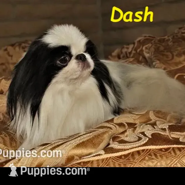 processed/28f404ee-619f-4046-803e-10f394c28ad2/facility/1ff14423-5cc1-459c-8573-465d36545d63