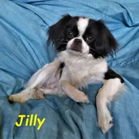 processed/28f404ee-619f-4046-803e-10f394c28ad2/facility/2248a9a5-d735-4cb5-9f2f-857dd35e77ab