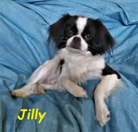 processed/28f404ee-619f-4046-803e-10f394c28ad2/facility/2248a9a5-d735-4cb5-9f2f-857dd35e77ab