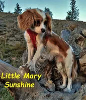 processed/28f404ee-619f-4046-803e-10f394c28ad2/facility/3b60a558-9ce9-40a2-840d-3ce296c8d3d1