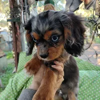 processed/28f404ee-619f-4046-803e-10f394c28ad2/facility/5417576d-5070-4a9c-997f-6b6f766c213f