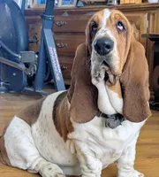 processed/28f404ee-619f-4046-803e-10f394c28ad2/facility/7b13def5-7554-412f-8fed-3b8aeec71408