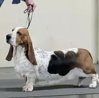 processed/28f404ee-619f-4046-803e-10f394c28ad2/facility/840eed5d-8b7d-4c11-b5a5-766a24ece947