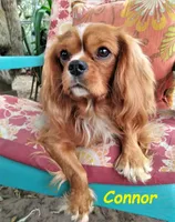 processed/28f404ee-619f-4046-803e-10f394c28ad2/facility/ae0131f9-af30-4744-8b3d-409e5d79f8bc