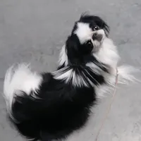 processed/28f404ee-619f-4046-803e-10f394c28ad2/facility/b1ef12dd-f95a-49be-91d0-42253377a924