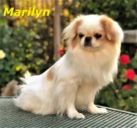 processed/28f404ee-619f-4046-803e-10f394c28ad2/facility/b9c499aa-1e41-4e2f-a5d7-7830328c5e25