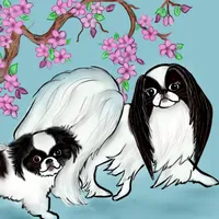 processed/28f404ee-619f-4046-803e-10f394c28ad2/facility/dba036d0-efcc-408a-896a-03aaceed309e