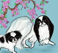 processed/28f404ee-619f-4046-803e-10f394c28ad2/facility/dba036d0-efcc-408a-896a-03aaceed309e