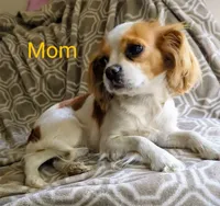 processed/28f404ee-619f-4046-803e-10f394c28ad2/listing/07a9220f-26a3-4304-82ff-9e3298c84d47/3585973b-a20e-4788-b225-40080f87f1ba