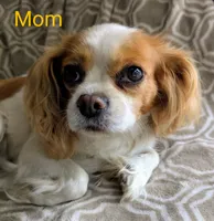 processed/28f404ee-619f-4046-803e-10f394c28ad2/listing/07a9220f-26a3-4304-82ff-9e3298c84d47/3b0e80cc-b384-49cd-9fc2-bae6f1966915