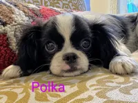 processed/28f404ee-619f-4046-803e-10f394c28ad2/listing/07a9220f-26a3-4304-82ff-9e3298c84d47/3f840fa8-2971-49b2-a8ef-a07b3b9b64d9