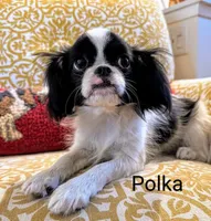 processed/28f404ee-619f-4046-803e-10f394c28ad2/listing/07a9220f-26a3-4304-82ff-9e3298c84d47/682db72e-cf33-493b-b1ee-dbfc0e54f730