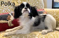 processed/28f404ee-619f-4046-803e-10f394c28ad2/listing/07a9220f-26a3-4304-82ff-9e3298c84d47/a80724ac-5705-4053-a93a-054d04184dcc