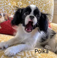 processed/28f404ee-619f-4046-803e-10f394c28ad2/listing/07a9220f-26a3-4304-82ff-9e3298c84d47/b3470424-113b-40d0-aa7d-4a002a5aa5bc