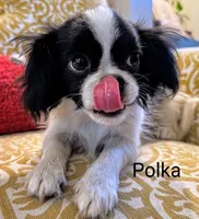 processed/28f404ee-619f-4046-803e-10f394c28ad2/listing/07a9220f-26a3-4304-82ff-9e3298c84d47/f759bb99-b76a-4ee9-8b2c-ff3ef77c4631