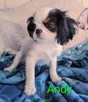 processed/28f404ee-619f-4046-803e-10f394c28ad2/listing/1e65d840-cac4-4862-a495-44e2507ebce3/24d2cb36-7b40-48dd-9d4e-2fe66d95e3eb