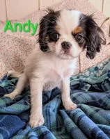 processed/28f404ee-619f-4046-803e-10f394c28ad2/listing/1e65d840-cac4-4862-a495-44e2507ebce3/362f0923-b9cf-443b-8a39-4b9bd5bc32c4