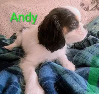 processed/28f404ee-619f-4046-803e-10f394c28ad2/listing/1e65d840-cac4-4862-a495-44e2507ebce3/84544b86-71cf-4724-89e4-d05ff51f4559