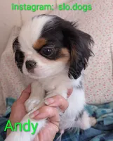 processed/28f404ee-619f-4046-803e-10f394c28ad2/listing/1e65d840-cac4-4862-a495-44e2507ebce3/a7300595-85fe-4afc-8307-20ed1b4d3205