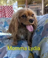 processed/28f404ee-619f-4046-803e-10f394c28ad2/listing/1e65d840-cac4-4862-a495-44e2507ebce3/d4be5f6a-64c0-42db-93ab-a5b9d2a3fa61