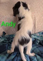 processed/28f404ee-619f-4046-803e-10f394c28ad2/listing/1e65d840-cac4-4862-a495-44e2507ebce3/eaebc882-2250-47b5-9702-27b3a8f8c1d0