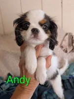 processed/28f404ee-619f-4046-803e-10f394c28ad2/listing/1e65d840-cac4-4862-a495-44e2507ebce3/f0c18b4e-9b97-4798-9806-67357fa8fa25