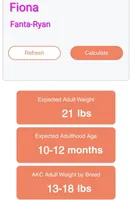 California-Oregon Fiona, a female Cavalier King Charles Spaniel and Japanese Chin for sale in Arroyo Grande, CA – Photo 8 of 10